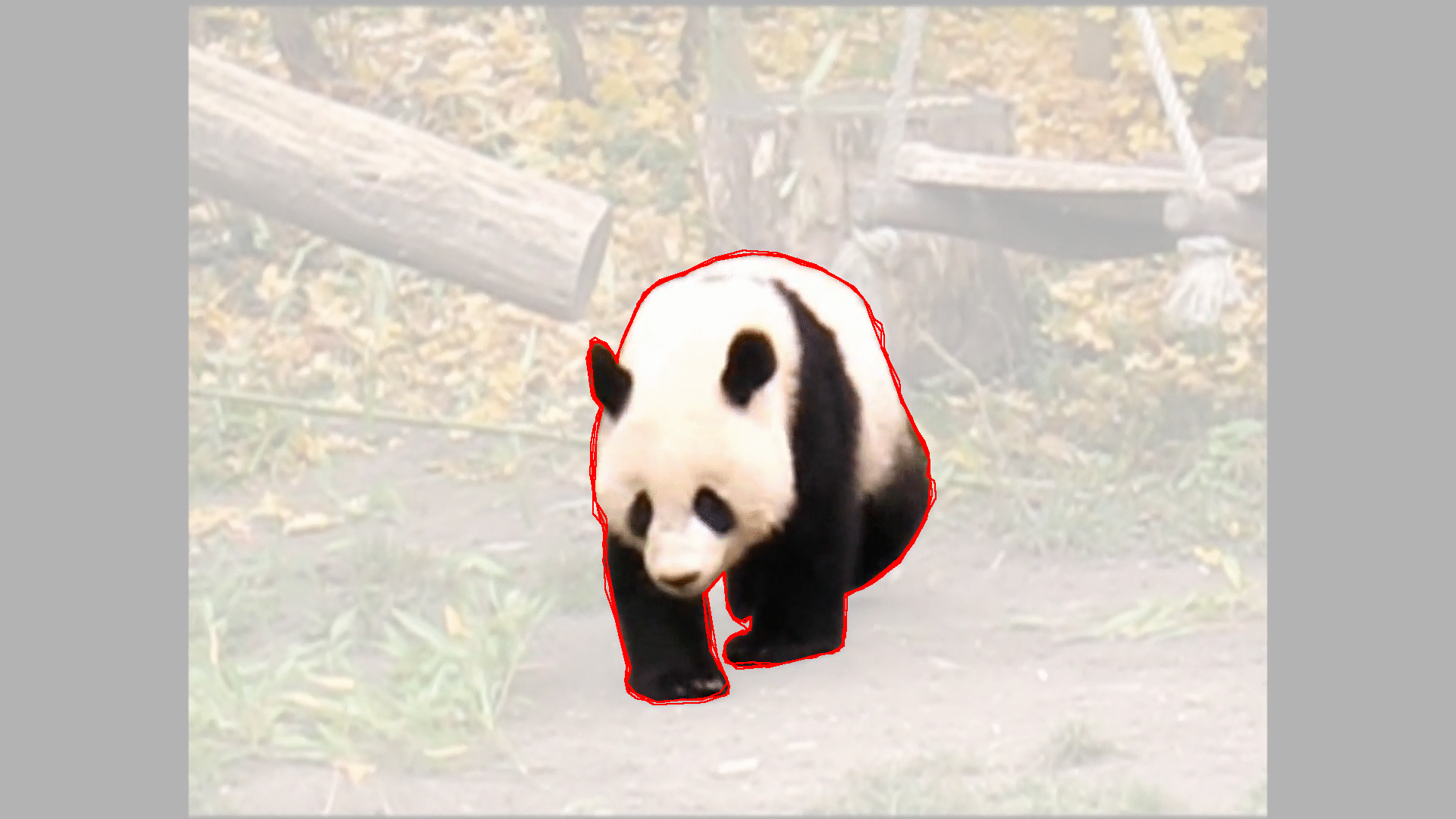 test panda test panda